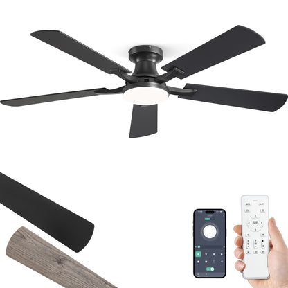 Installation Video for Product Model BJ52