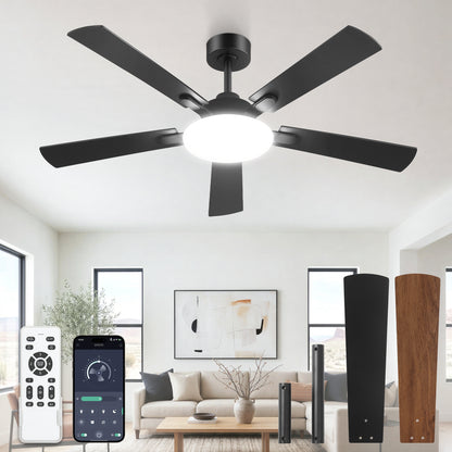 Installation Video for Product Model PY42D/PY52D/PY60D