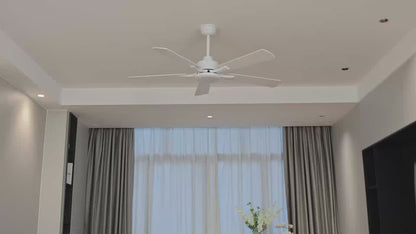 Installation Video For Product Model ZMCF008