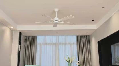 Installation Video For Product Model ZMCF008