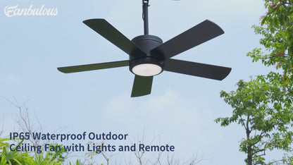 Product Manuals & Resources DX42RGB
